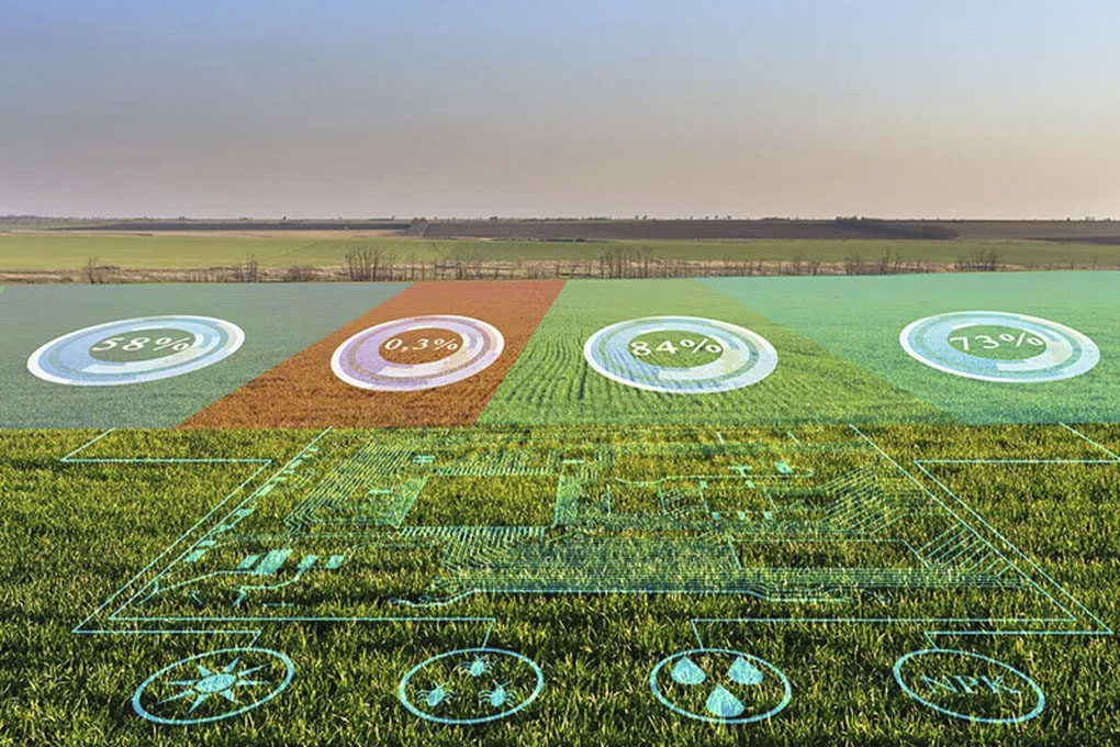 gestao empresa agricula gestao empresa agricula